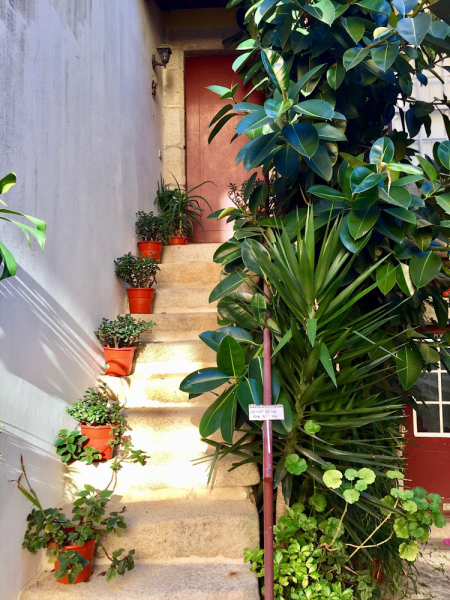 Круиз по Дору на Emerald Radiance и чуть-чуть северной Португалии, октябрь 2018