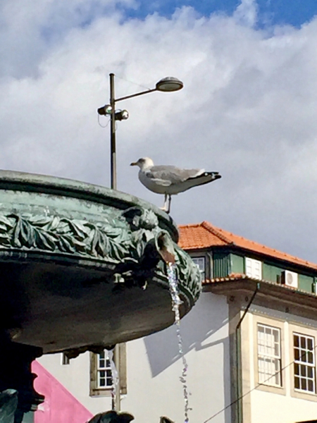 Круиз по Дору на Emerald Radiance и чуть-чуть северной Португалии, октябрь 2018