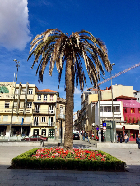 Круиз по Дору на Emerald Radiance и чуть-чуть северной Португалии, октябрь 2018