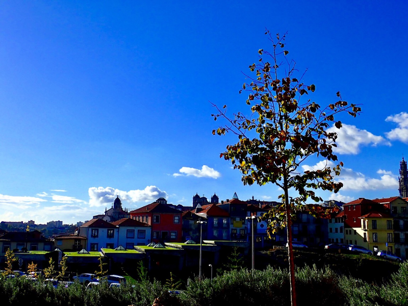 Круиз по Дору на Emerald Radiance и чуть-чуть северной Португалии, октябрь 2018