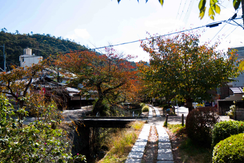 Tokyo, Shirakawa-go, Kanazawa, Matsumoto, Kyoto, Koyasan, Heda в конце октября 2018