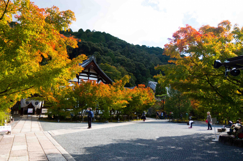 Tokyo, Shirakawa-go, Kanazawa, Matsumoto, Kyoto, Koyasan, Heda в конце октября 2018