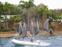 Другая планета - Австралия (конец мая-начало июня 2010).