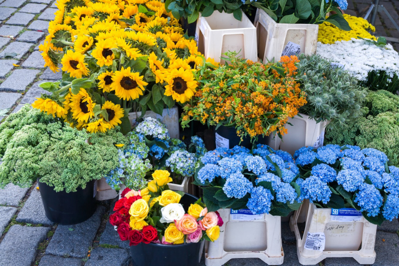 Прага. Субъективный (НЕ)Гастрогид + UPD 2017/2018/2019