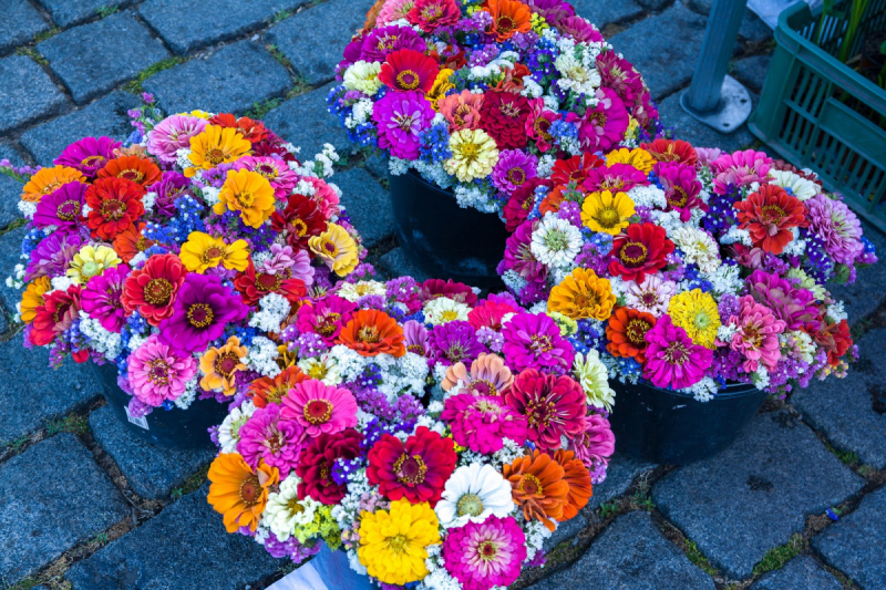 Прага. Субъективный (НЕ)Гастрогид + UPD 2017/2018/2019