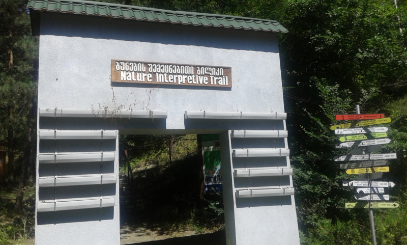 Грузия. Сложилось! Июль 2018. Тбилиси-Степанцминда-Вардзия-Боржоми-Батуми