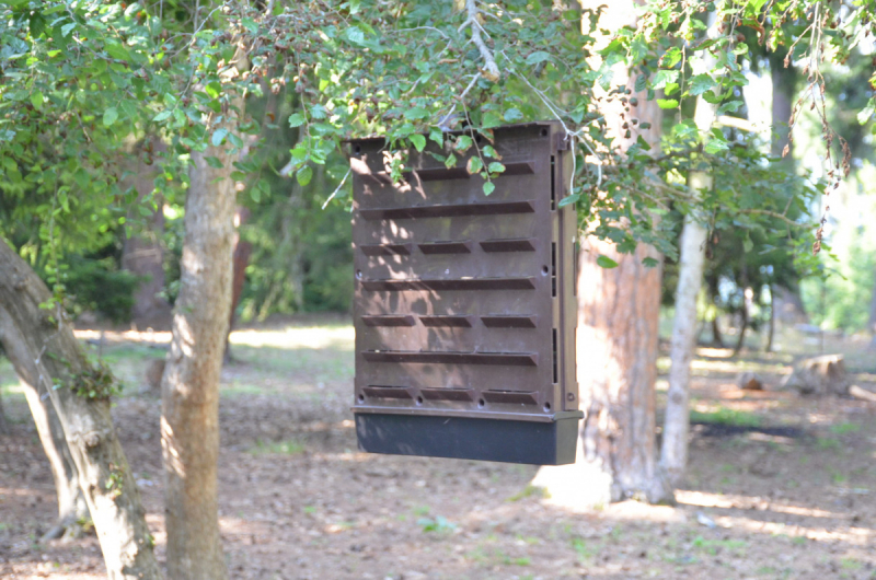 Грузия. Сложилось! Июль 2018. Тбилиси-Степанцминда-Вардзия-Боржоми-Батуми