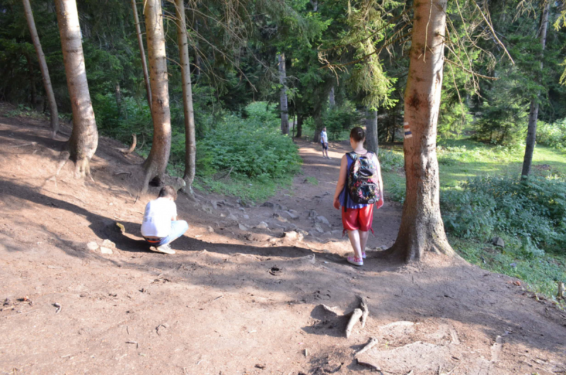 Грузия. Сложилось! Июль 2018. Тбилиси-Степанцминда-Вардзия-Боржоми-Батуми