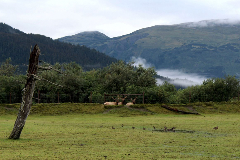 Alaska: The Last Frontier