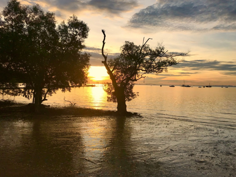 Пляжи и Закаты