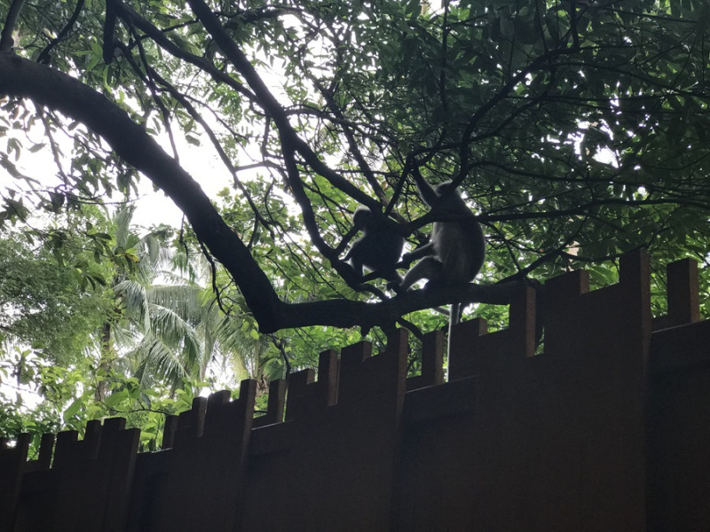 Пляжи и Закаты