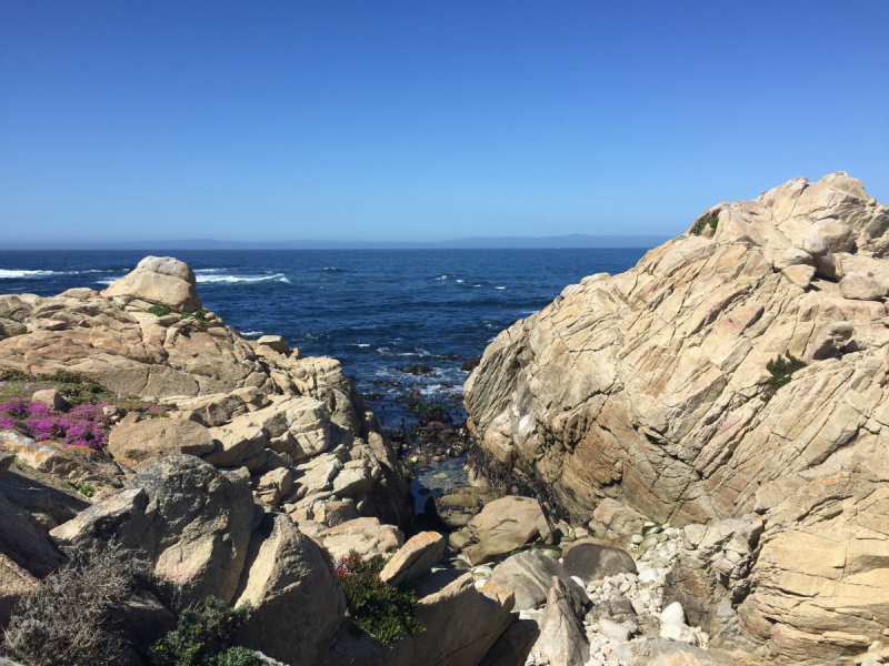 Практический отчет по Западу США, март 2018