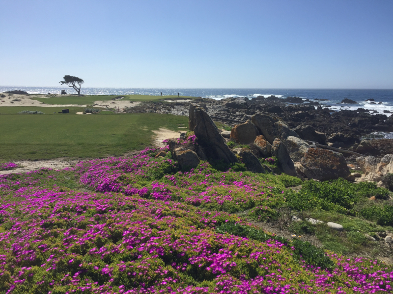 Практический отчет по Западу США, март 2018