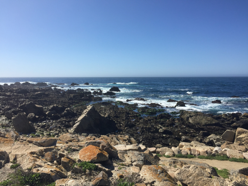 Практический отчет по Западу США, март 2018