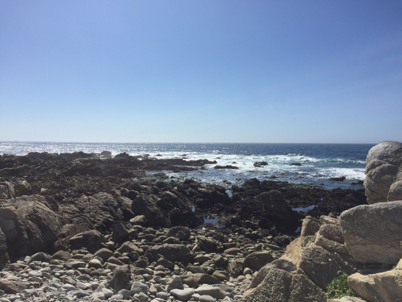 Практический отчет по Западу США, март 2018