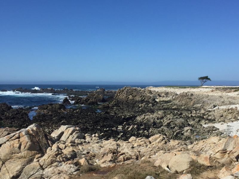 Практический отчет по Западу США, март 2018