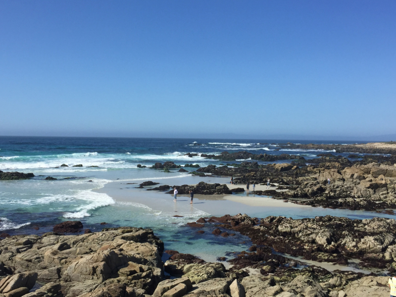 Практический отчет по Западу США, март 2018