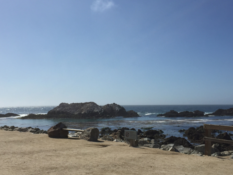 Практический отчет по Западу США, март 2018