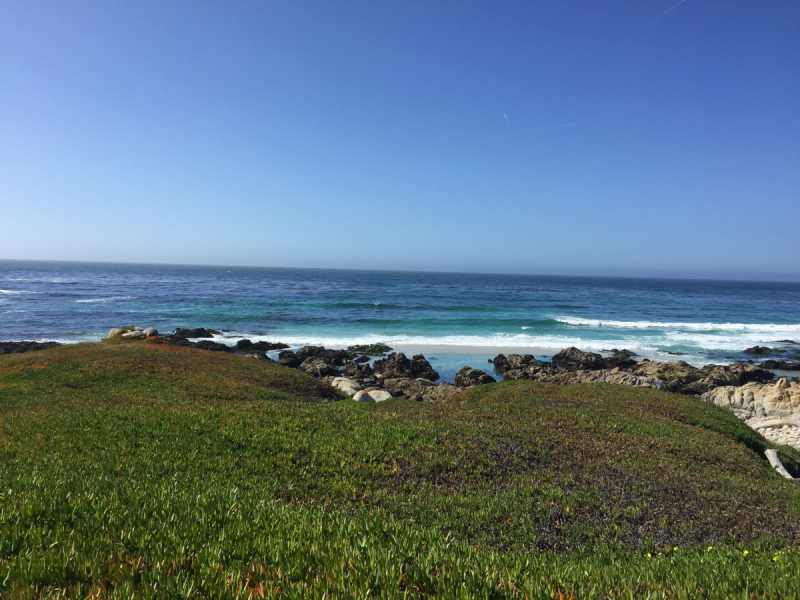 Практический отчет по Западу США, март 2018