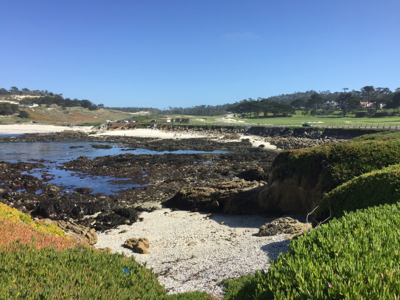 Практический отчет по Западу США, март 2018