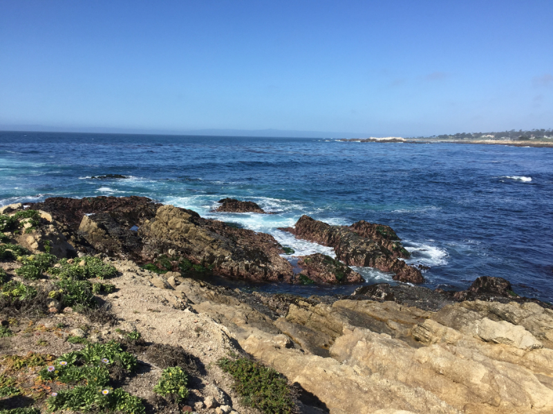 Практический отчет по Западу США, март 2018