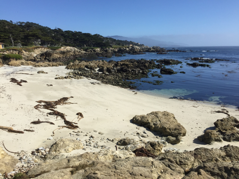 Практический отчет по Западу США, март 2018