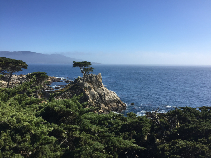 Практический отчет по Западу США, март 2018