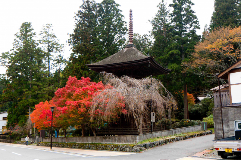 Tokyo, Shirakawa-go, Kanazawa, Matsumoto, Kyoto, Koyasan, Heda в конце октября 2018