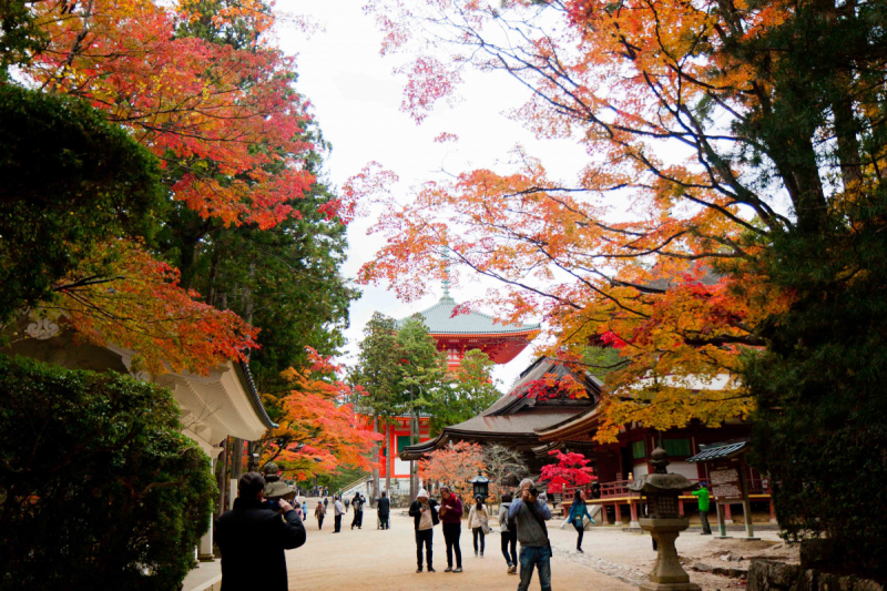 Tokyo, Shirakawa-go, Kanazawa, Matsumoto, Kyoto, Koyasan, Heda в конце октября 2018