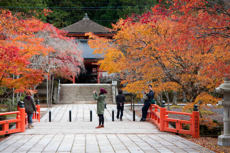 Tokyo, Shirakawa-go, Kanazawa, Matsumoto, Kyoto, Koyasan, Heda в конце октября 2018