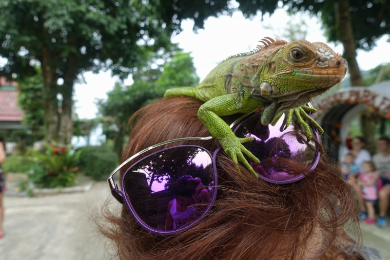 Новогодний трип по островам. Phangan, Tao, Samui