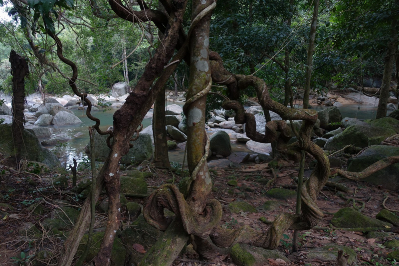 Новогодний трип по островам. Phangan, Tao, Samui