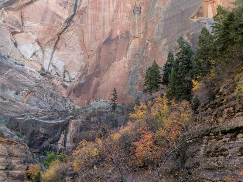 Zion в ноябре. Observation Point trail.