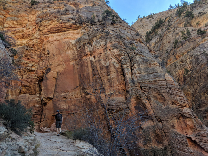 Zion в ноябре. Observation Point trail.