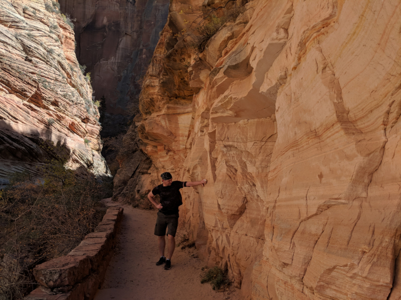 Zion в ноябре. Observation Point trail.