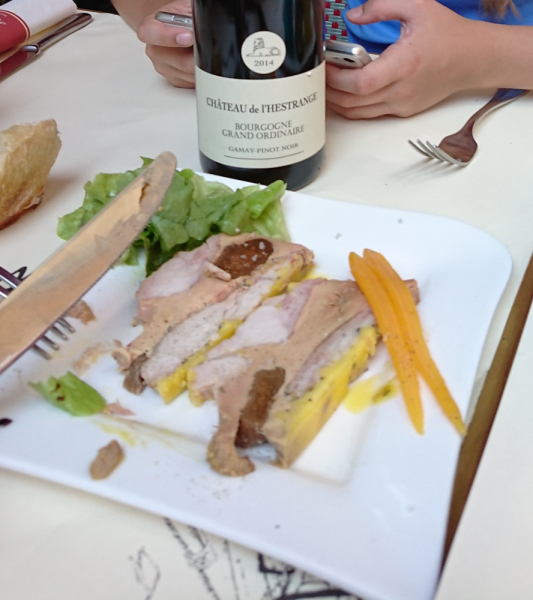 47 городов, 7 замков и 6 деревень за месяц по 12 странам (Австрия-Германия-Франция- БеНиЛюкс- Дания- Швеция+ еще 4)