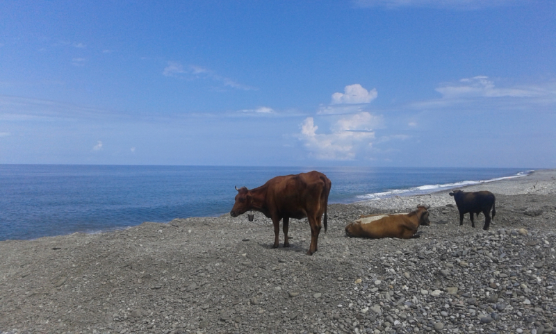 Грузия. Сложилось! Июль 2018. Тбилиси-Степанцминда-Вардзия-Боржоми-Батуми