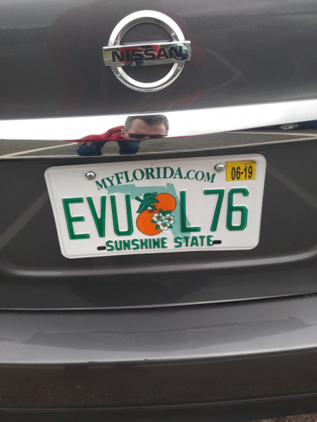 Аренда автомобиля в США: права, карты, заправки