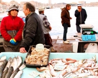 Неделя в Провансе: красивые деревни Прованса, Вердонский каньон, Лазурный берег и Марсель