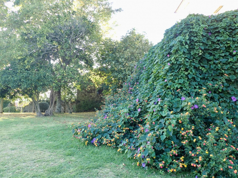 Галисия в октябре 2018 - всего понемногу (города и океан, горы и долины, парадоры и гестхаус, солнце и дождь)