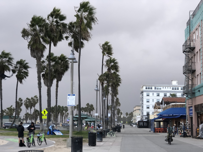 Venice Santa Monica Лос-Анжелес в декабре Venice Santa Monica Лос-Анжелес в декабре