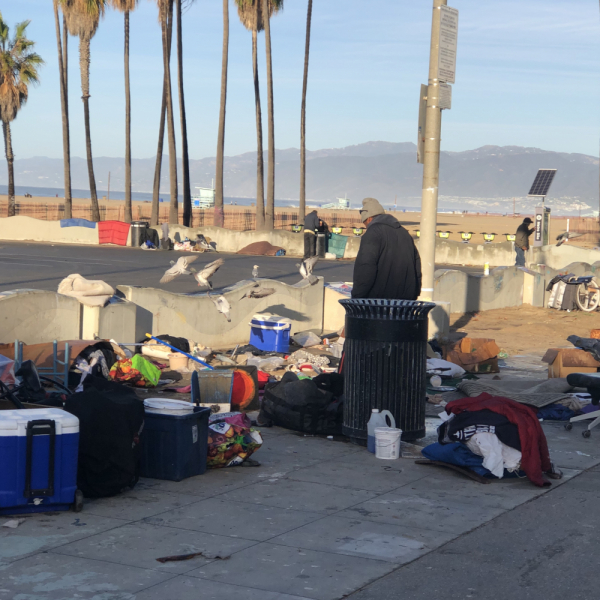 Venice Santa Monica Лос-Анжелес в декабре Venice Santa Monica Лос-Анжелес в декабре