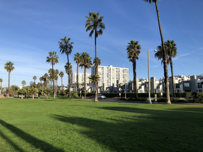 Venice Santa Monica Лос-Анжелес в декабре Venice Santa Monica Лос-Анжелес в декабре