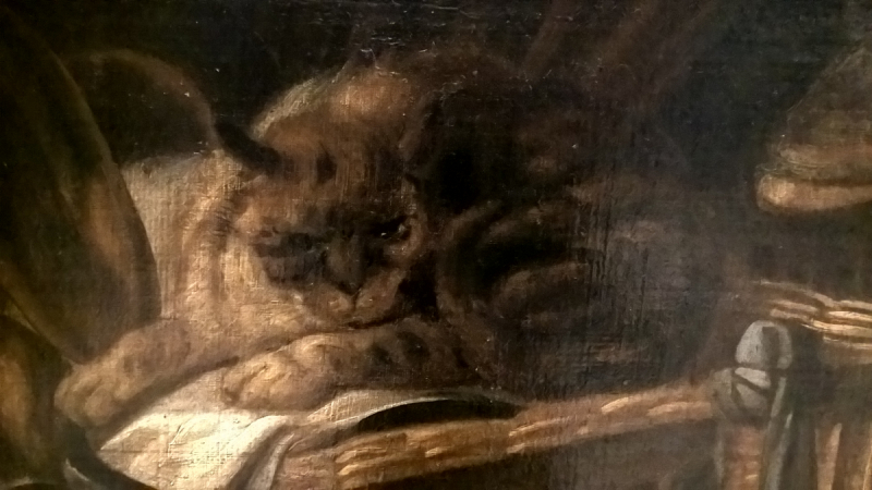 Кошки в нашей жизни. Кошки и все, что с ними связано.