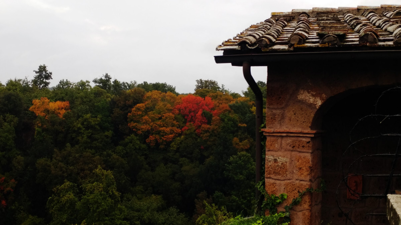 Куда податься в окрестностях Рима, если у вас несколько дней (4-7 октября 2018) и вы уже многое видели (патриархальная Италия в Барбарано Романо ...