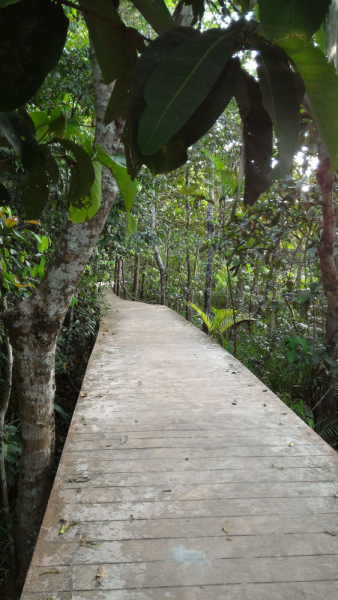 Сокровища Ао Нанга (Краби)