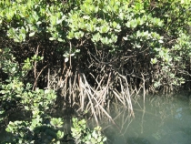 Другая планета - Австралия (конец мая-начало июня 2010).