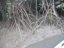 Другая планета - Австралия (конец мая-начало июня 2010).