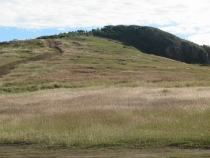 Другая планета - Австралия (конец мая-начало июня 2010).