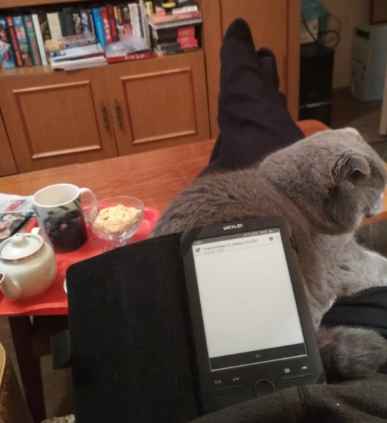 Кошки в нашей жизни. Кошки и все, что с ними связано.